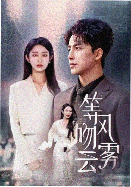 暗流之上 中文免费观看谍战剧海报