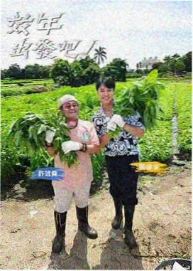 声浪计划 中文免费观看音乐综艺海报